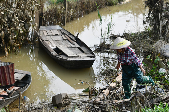 Tan hoang trên bãi giữa sông Hồng