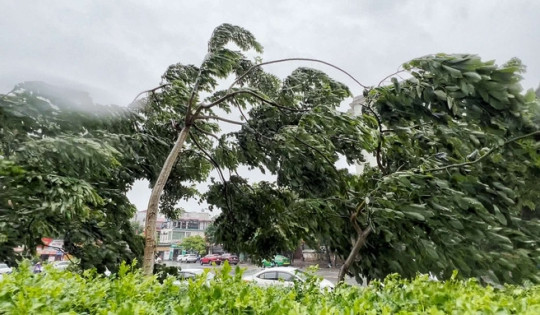 Bão vào đất liền dự báo tăng cao hơn trung bình nhiều năm, nguy cơ mưa lũ dồn dập ở khu vực Trung Bộ