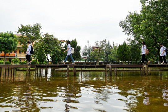 Trường học bị ngập lụt, thầy trò ở Nam Định 'bắc cầu' để vào lớp