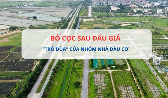 Bỏ cọc sau khi đẩy giá lên cao: 'Trò đùa' của nhóm nhà đầu cơ