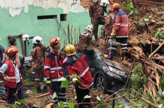 Cây đổ khiến hai du khách tử vong thương tâm trên 'đảo ngọc'