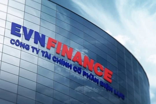 EVNFinance (EVF): Kiểm toán nhấn mạnh về các khoản cho vay khách hàng và đầu tư dài hạn