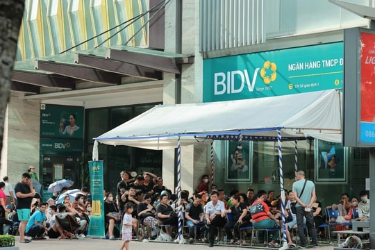 AI NEWS - Nền tảng tin tức chứng khoán