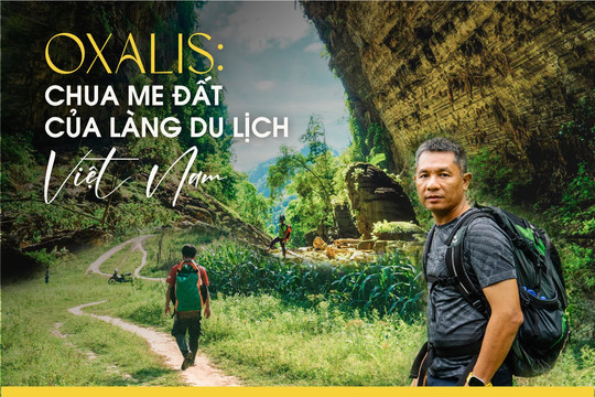 Oxalis: Chua Me Đất của làng du lịch Việt Nam