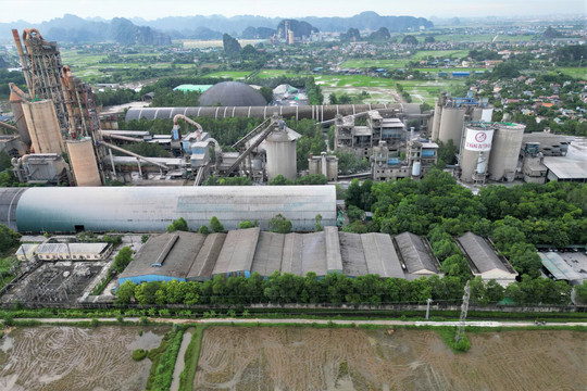 Ninh Bình 'cắt' 38ha rừng tự nhiên cho Nhà máy xi măng Duyên Hà