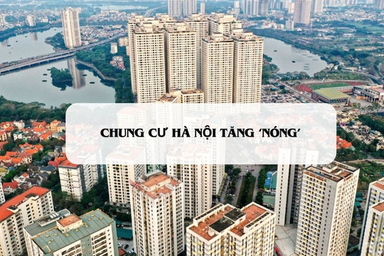 Sếp CBRE Hà Nội: Lần đầu thấy chung cư tăng giá nhanh như vậy