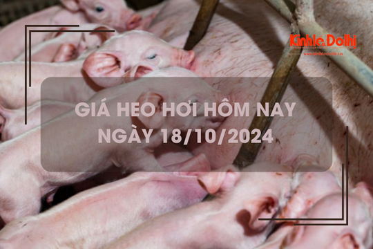 Giá heo hơi hôm nay 18/10: chững giá sau chuỗi ngày giảm liên tiếp