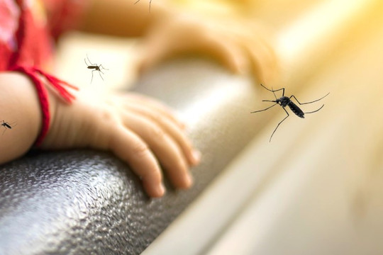 Bé trai 7 tuổi tử vong do sốt xuất huyết Dengue