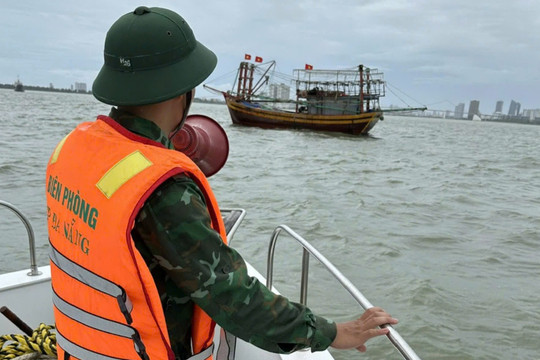 Phòng chống bão Trà Mi: Cấm biển, sẵn sàng phương án sơ tán người dân