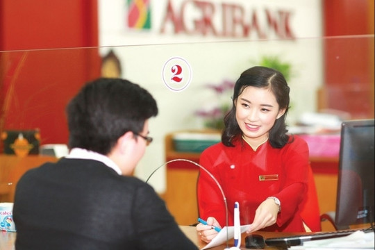 Agribank tuyển dụng 552 nhân sự tại nhiều chi nhánh, điều kiện khá dễ