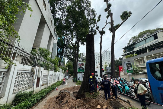 TPHCM khẩn trương ứng phó bão số 6 Trà Mi