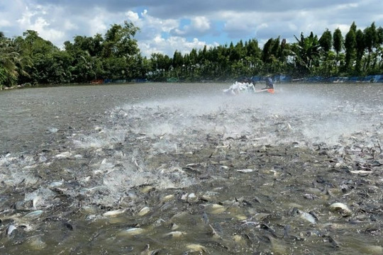 Việt Nam sở hữu 'kho báu dưới nước' được 2/3 thế giới săn đón, thu về 1,5 tỷ đô chỉ trong 9 tháng đầu năm: Mỹ, Trung Quốc, Thái Lan thi nhau chốt đơn