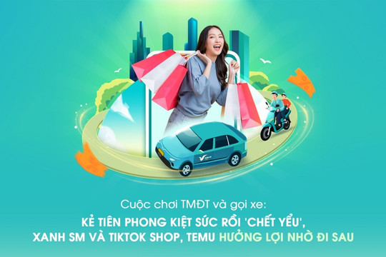 Cuộc chơi TMĐT và gọi xe: Kẻ tiên phong kiệt sức rồi 'chết yểu', Xanh SM và TikTok Shop, Temu hưởng lợi nhờ đi sau