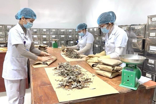 Đề xuất loại bỏ thuốc y học cổ truyền làm từ động, thực vật trong sách đỏ, có nguy cơ tuyệt chủng