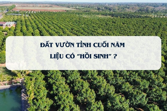 Phân khúc từng 'gây thương nhớ' cho các nhà đầu tư ở các tỉnh phía Nam liệu có 'hồi sinh' sau khi áp bảng giá đất mới?