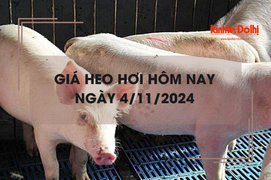 Giá heo hơi hôm nay 4/11: tiếp đà tăng nhẹ 1.000 đồng/kg tại miền Bắc