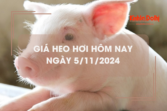 Giá heo hơi hôm nay 5/11: tiếp tục tăng nhẹ 1.000 đồng/kg