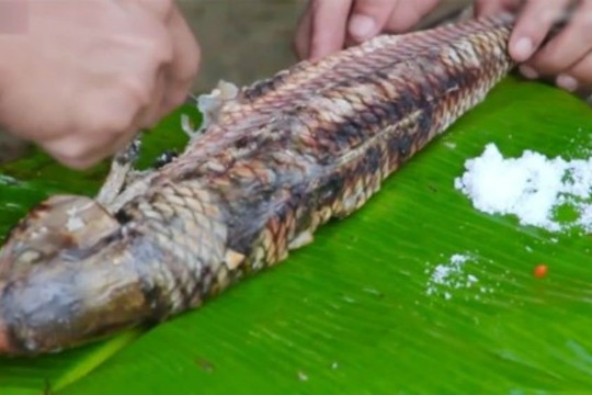 Loại cá ở Việt Nam mang tên loài gỗ quý hiếm, thịt chắc, vị ngon kỳ lạ, nguồn gốc hương thơm còn là bí ẩn