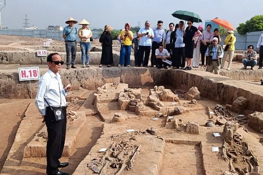 Phát hiện ‘kho báu’ giữa bãi vàng ở Tây Nguyên, các chuyên gia hàng đầu khẩn cấp vào cuộc, hé lộ sự thật xôn xao giới khoa học