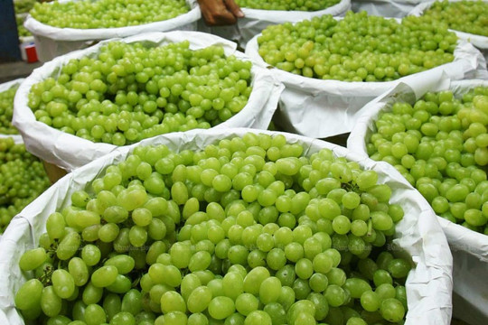 Thu giữ gần 7 tấn nho nhập khẩu trị giá hàng tỷ đồng nghi chứa chất độc hại, cơ quan chức năng Thái Lan cam kết siết chặt an toàn thực phẩm