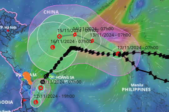 Vùng áp thấp tan trên biển Quảng Ngãi - Phú Yên, bão số 8 giật cấp 12