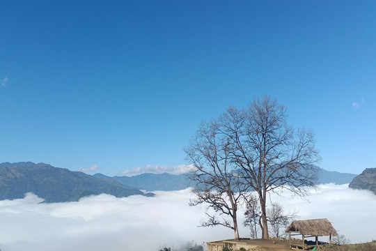 'Ngôi làng trên mây' của Việt Nam nằm ở độ cao 2.000m, thu hút 'phượt thủ' vì đẹp như tiên cảnh