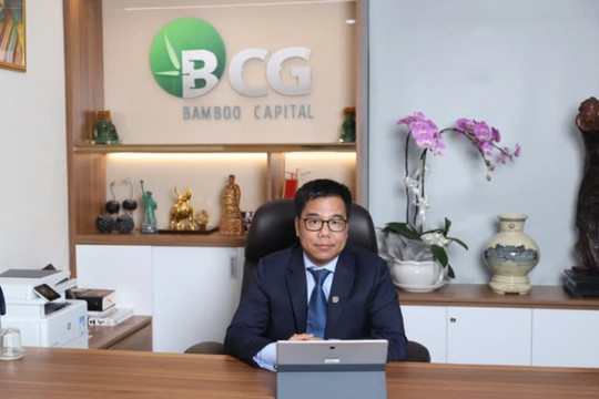 Bamboo Capital (BCG) báo lãi lớn, lãnh đạo khẳng định giá cổ phiếu đang chưa phản ánh đúng tiềm năng doanh nghiệp