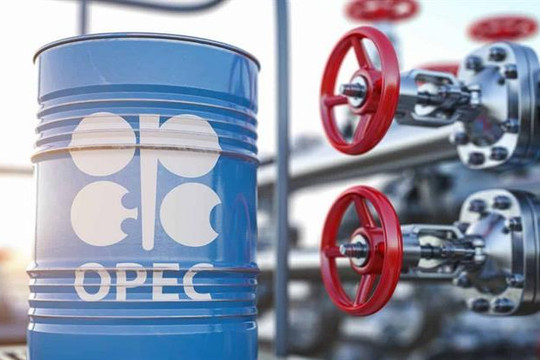 Cảnh báo nóng từ IEA và OPEC nhấn chìm giá dầu