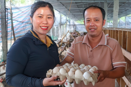 Trắng tay sau 3 lần khởi nghiệp, vợ chồng trẻ đổi đời nhờ nuôi gà 'nhân đạo'