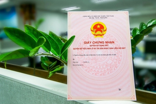 Có thể bị phạt nặng nếu chậm sang tên sổ đỏ nhà đất