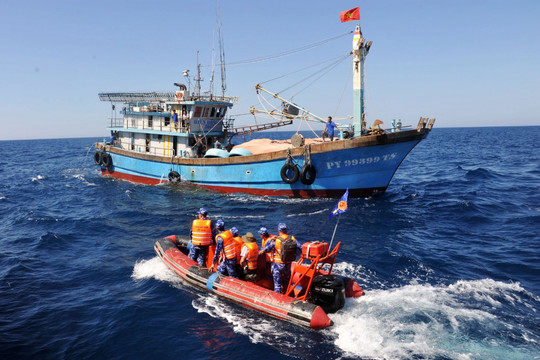 Cảnh báo 'thẻ vàng IUU' - Cú sốc lớn với ngành thủy sản Việt Nam