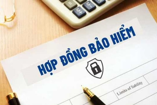 Chi hơn 200 triệu đồng mua gói bảo hiểm nhận lãi hàng tháng, người phụ nữ nhận ‘trái đắng’