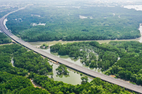 7km xuyên rừng ngập mặn của cao tốc qua Đồng Nai trước dịp thông xe