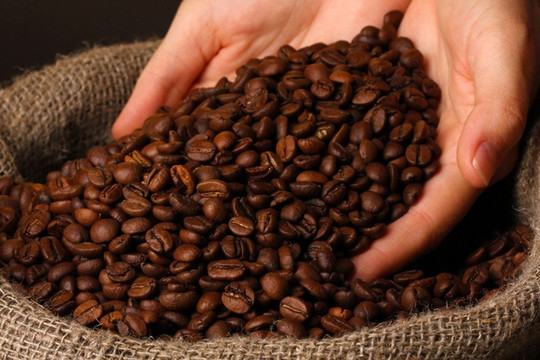 Giá cà phê hôm nay 8/12: bức tranh trái chiều của cà phê, Arabica tăng tốt