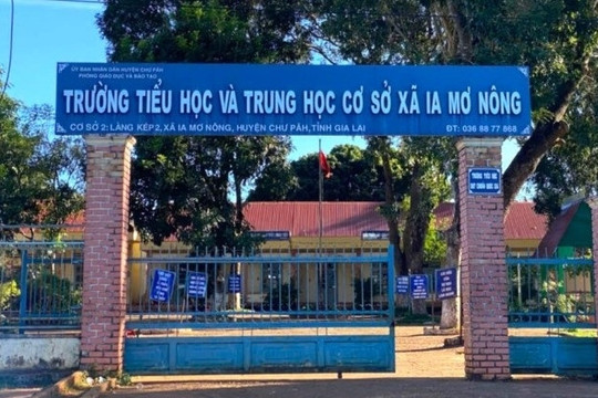 Vụ thầy giáo thuê người dạy thay: Kiểm điểm hiệu trưởng và giáo viên