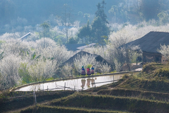 Vùng đất ‘Cao nguyên trắng’ của Tây Bắc được phê duyệt trở thành khu du lịch quốc gia