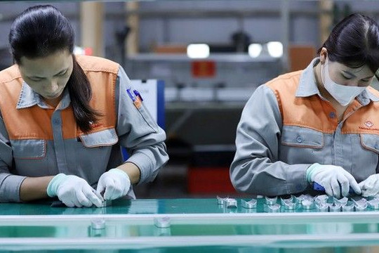 Người đi xuất khẩu lao động được tính lương hưu thế nào?
