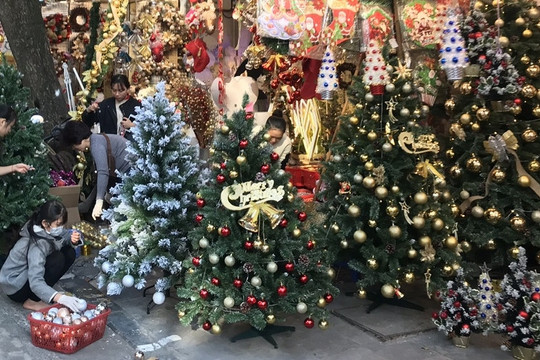 Hàng trăm triệu người chi tiền cho Noel, điều bất ngờ ở cây thông thật và giả