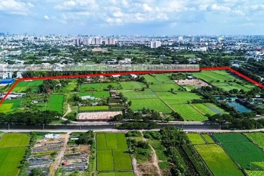 'Treo' 25 năm, dự án siêu công viên rộng gấp 9 Thảo Cầm Viên biến thành ruộng rau, đồng hoa Tết