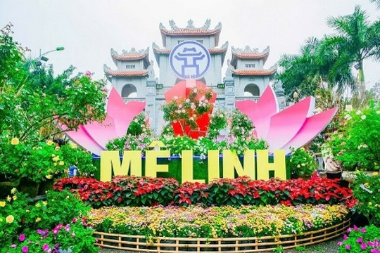 Sắp diễn ra lễ hội hoa lớn nhất miền Bắc tại Mê Linh, Hà Nội