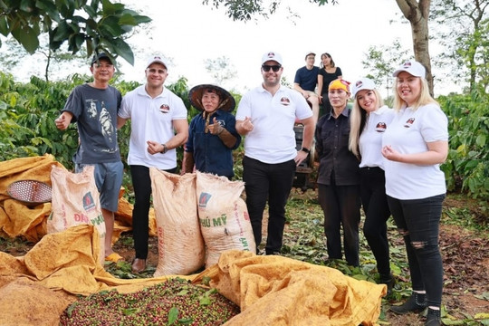 Khách Tây bỏ tiền vào Gia Lai nhặt lá, hái cà phê như nông dân thứ thiệt