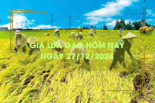 Giá lúa gạo hôm nay 26/12: giá gạo tiếp đà giảm nhẹ 100 đồng/kg