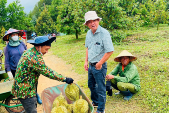 Báo tin vui sắp nhận 43.000ha đất do trả hết nợ, tài sản thế chấp ‘3 bên’ giữa HAG, HNG và BIDV có gì?