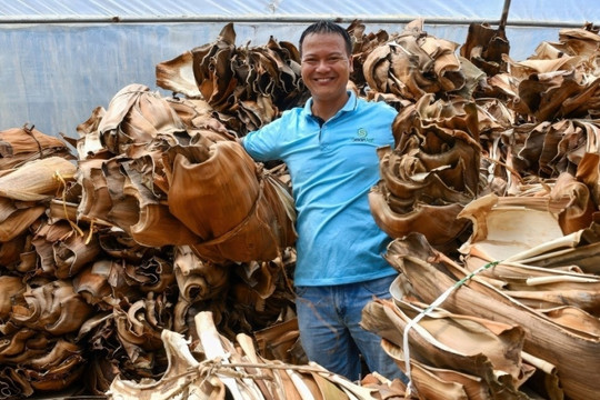 Người đàn ông Quảng Ngãi biến phế phẩm thành ‘báu vật’ xuất ngoại, doanh thu hơn 2 tỷ đồng/năm