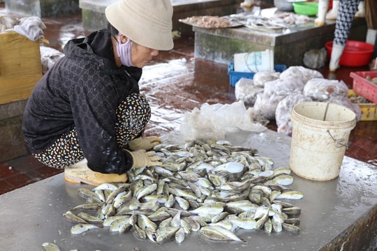 Ngộ độc nặng do ăn loại cá có chứa độc tố: 1 người tử vong, 4 người cấp cứu