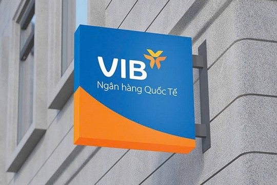 VIB: Lợi nhuận năm 2024 hơn 9.000 tỷ đồng, tăng trưởng tín dụng dẫn đầu ngành, đạt 22%