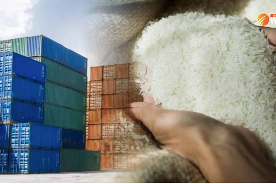 Xuất khẩu gạo của Thái Lan có thể sụt giảm 24%, Việt Nam sẵn sàng soán ngôi á quân thế giới