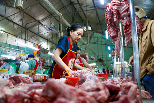 'Chưa năm nào bán thịt lợn khắc nghiệt như bây giờ'