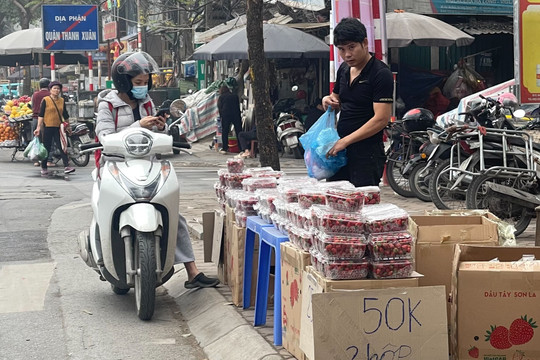 Dâu tây 'rẻ như bèo' tràn ngập Hà Nội