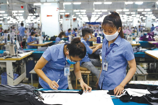 Ông lớn ngành dệt may giảm 73% lợi nhuận sau kiểm toán 2024